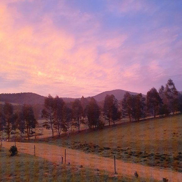 Meet your Posher, Samantha - Picture 1 of 1